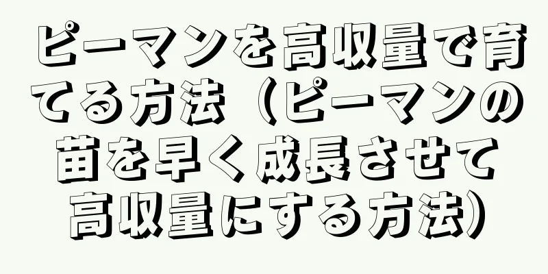 ピーマンを高収量で育てる方法（ピーマンの苗を早く成長させて高収量にする方法）