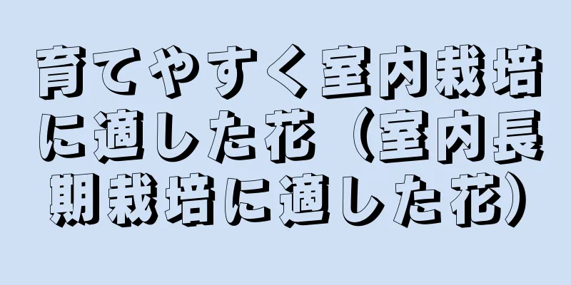 育てやすく室内栽培に適した花（室内長期栽培に適した花）