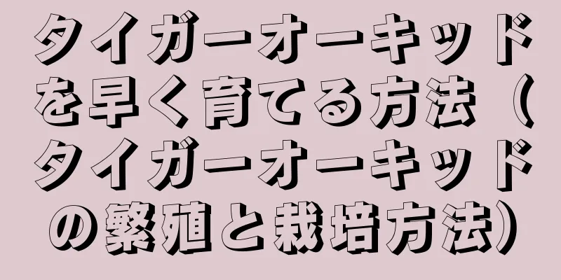タイガーオーキッドを早く育てる方法（タイガーオーキッドの繁殖と栽培方法）