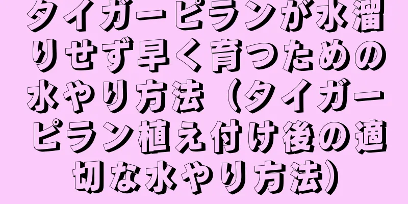 タイガーピランが水溜りせず早く育つための水やり方法（タイガーピラン植え付け後の適切な水やり方法）