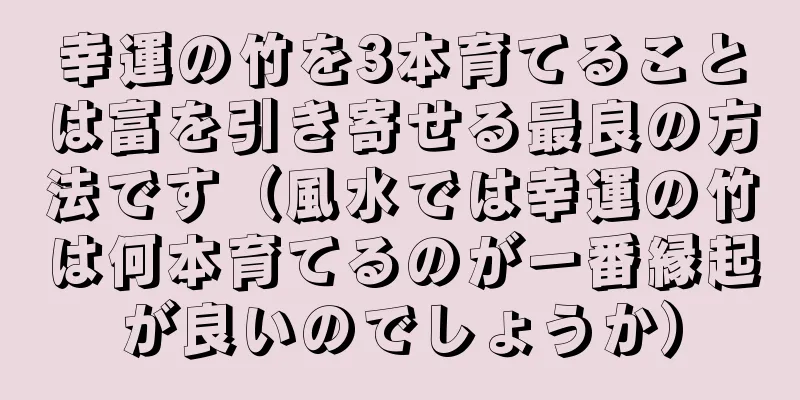 幸運の竹を3本育てることは富を引き寄せる最良の方法です（風水では幸運の竹は何本育てるのが一番縁起が良いのでしょうか）
