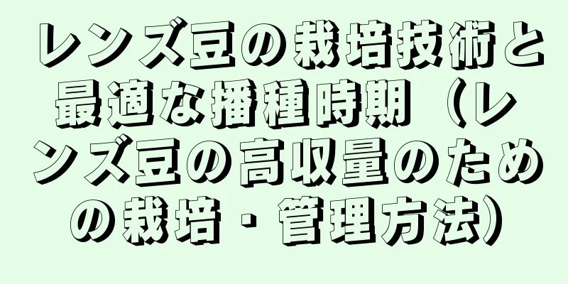 レンズ豆の栽培技術と最適な播種時期（レンズ豆の高収量のための栽培・管理方法）