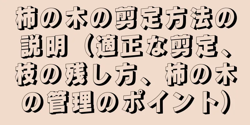 柿の木の剪定方法の説明（適正な剪定、枝の残し方、柿の木の管理のポイント）