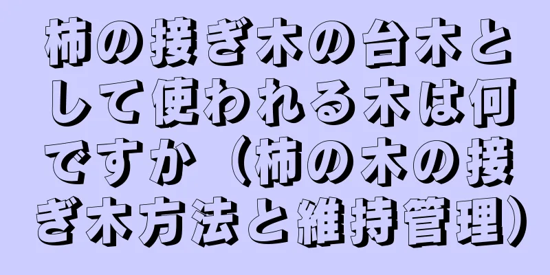 柿の接ぎ木の台木として使われる木は何ですか（柿の木の接ぎ木方法と維持管理）