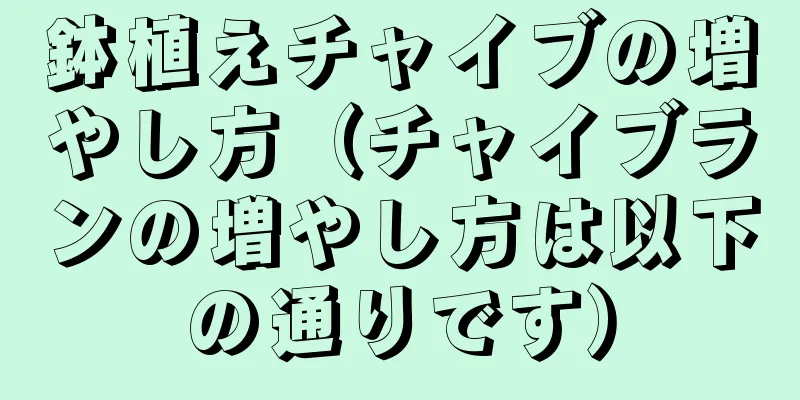鉢植えチャイブの増やし方（チャイブランの増やし方は以下の通りです）