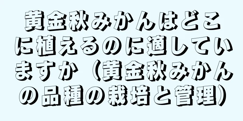 黄金秋みかんはどこに植えるのに適していますか（黄金秋みかんの品種の栽培と管理）