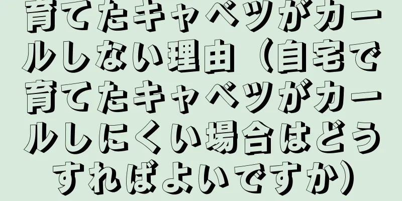 育てたキャベツがカールしない理由（自宅で育てたキャベツがカールしにくい場合はどうすればよいですか）