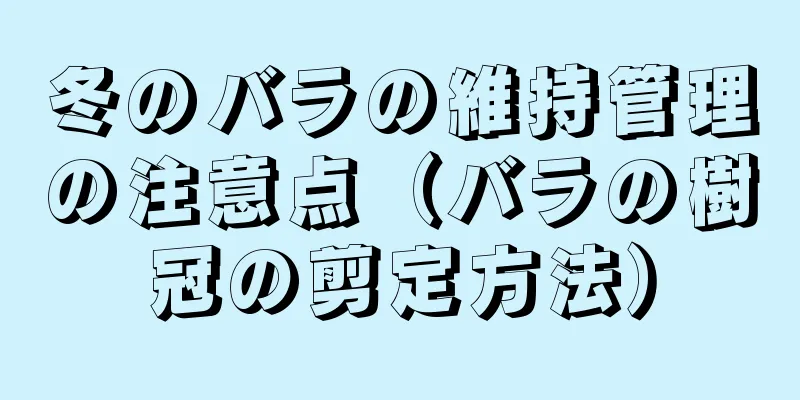 冬のバラの維持管理の注意点（バラの樹冠の剪定方法）