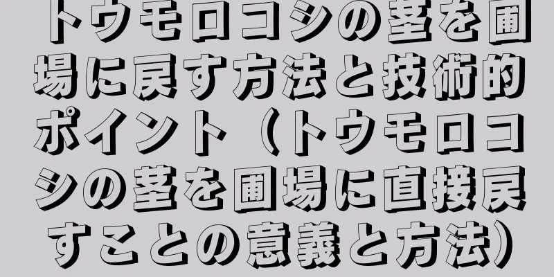 トウモロコシの茎を圃場に戻す方法と技術的ポイント（トウモロコシの茎を圃場に直接戻すことの意義と方法）