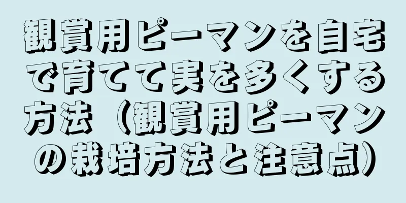 観賞用ピーマンを自宅で育てて実を多くする方法（観賞用ピーマンの栽培方法と注意点）