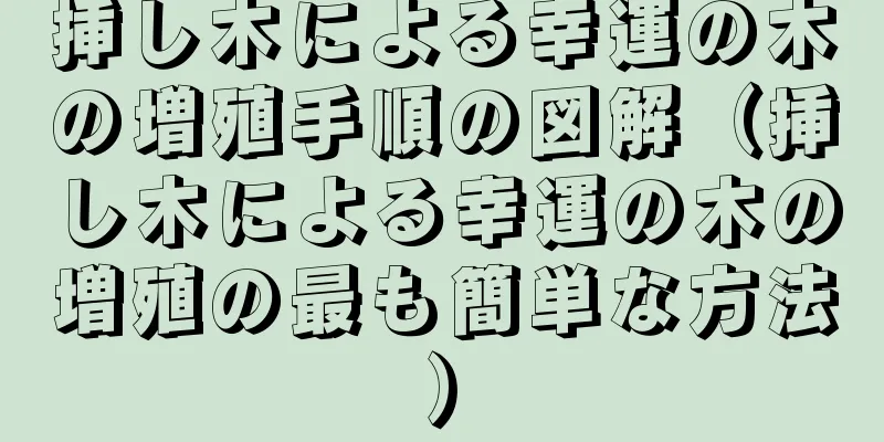 挿し木による幸運の木の増殖手順の図解（挿し木による幸運の木の増殖の最も簡単な方法）