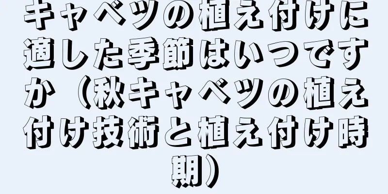 キャベツの植え付けに適した季節はいつですか（秋キャベツの植え付け技術と植え付け時期）