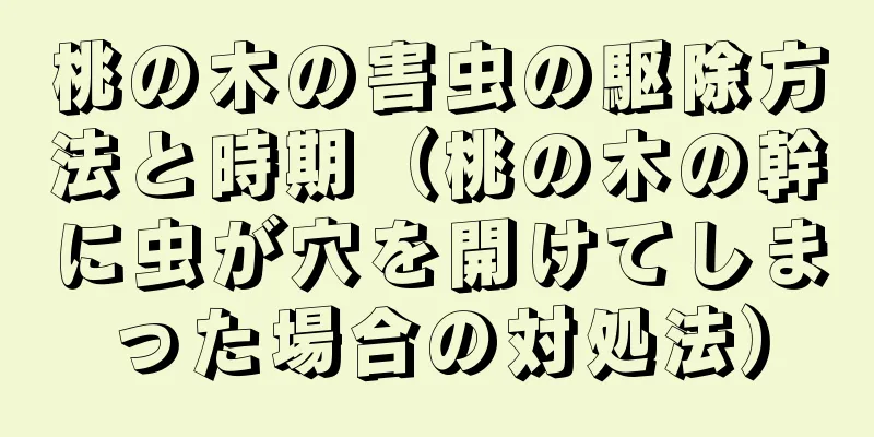 桃の木の害虫の駆除方法と時期（桃の木の幹に虫が穴を開けてしまった場合の対処法）
