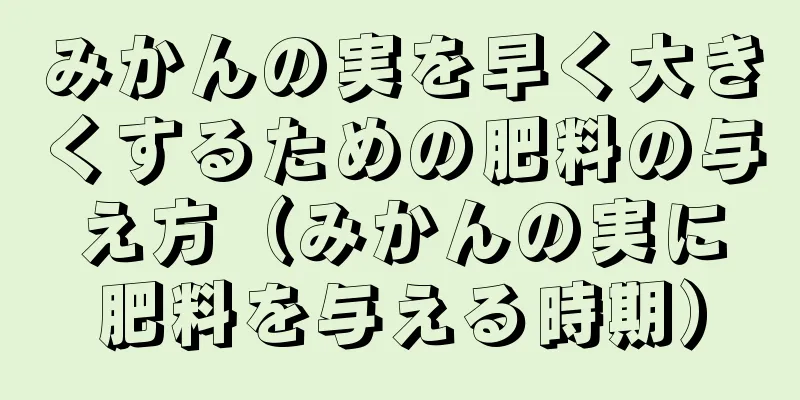 みかんの実を早く大きくするための肥料の与え方（みかんの実に肥料を与える時期）