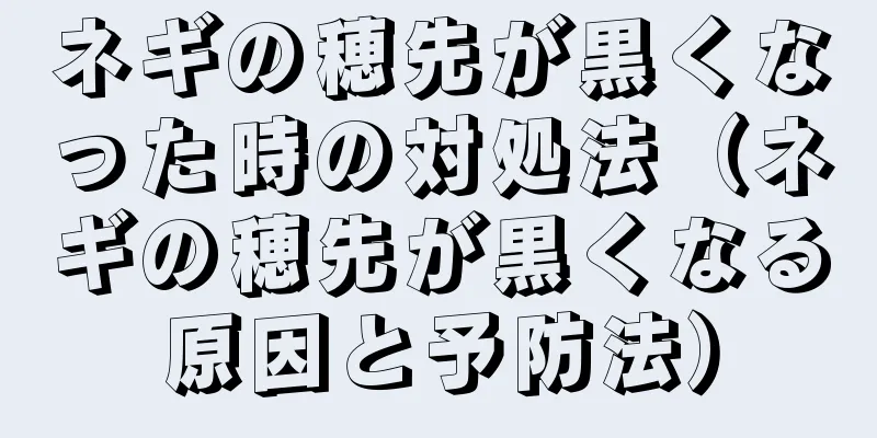 ネギの穂先が黒くなった時の対処法（ネギの穂先が黒くなる原因と予防法）
