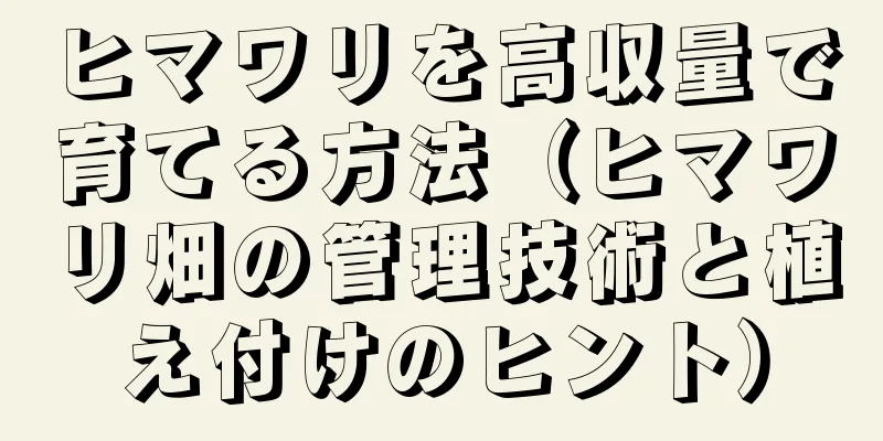 ヒマワリを高収量で育てる方法（ヒマワリ畑の管理技術と植え付けのヒント）