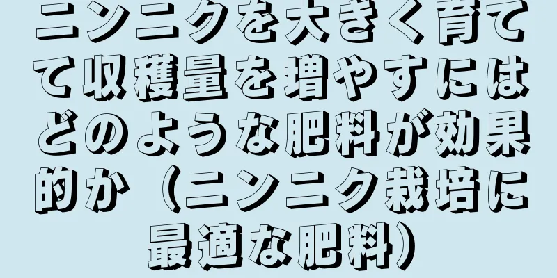 ニンニクを大きく育てて収穫量を増やすにはどのような肥料が効果的か（ニンニク栽培に最適な肥料）