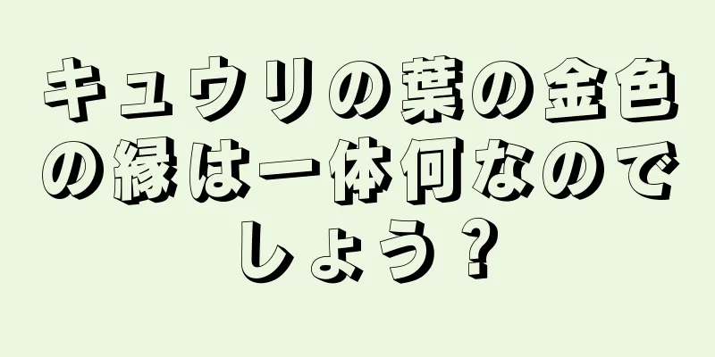 キュウリの葉の金色の縁は一体何なのでしょう？