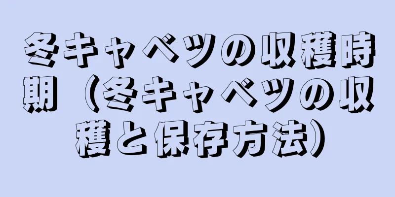 冬キャベツの収穫時期（冬キャベツの収穫と保存方法）