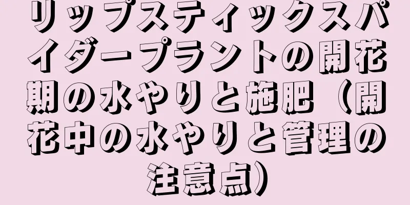 リップスティックスパイダープラントの開花期の水やりと施肥（開花中の水やりと管理の注意点）