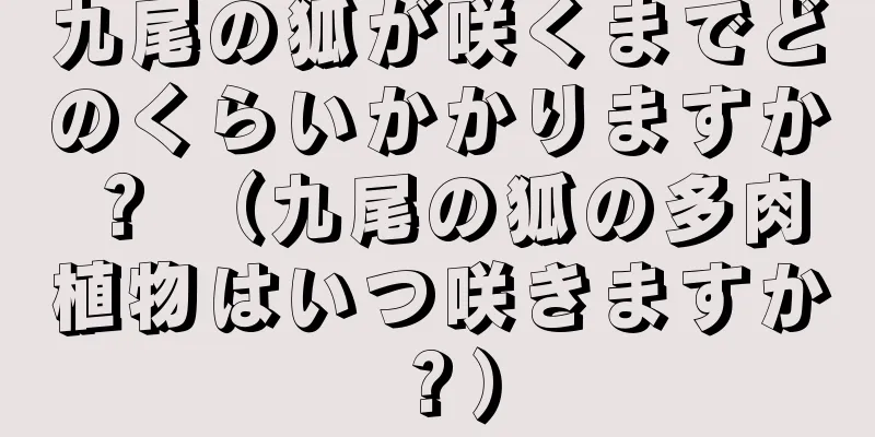 九尾の狐が咲くまでどのくらいかかりますか？ （九尾の狐の多肉植物はいつ咲きますか？）