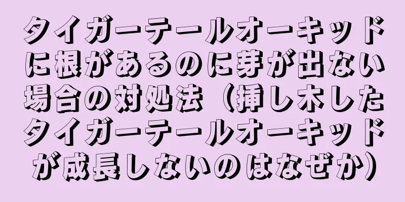 タイガーテールオーキッドに根があるのに芽が出ない場合の対処法（挿し木したタイガーテールオーキッドが成長しないのはなぜか）