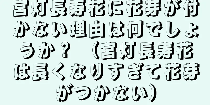 宮灯長寿花に花芽が付かない理由は何でしょうか？ （宮灯長寿花は長くなりすぎて花芽がつかない）