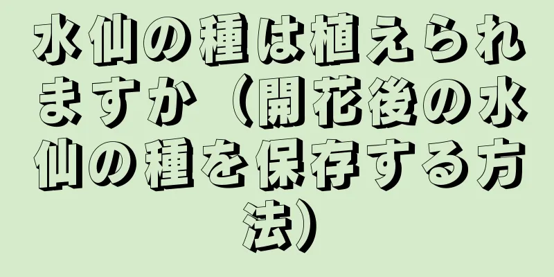 水仙の種は植えられますか（開花後の水仙の種を保存する方法）