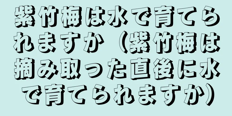 紫竹梅は水で育てられますか（紫竹梅は摘み取った直後に水で育てられますか）