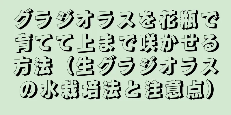 グラジオラスを花瓶で育てて上まで咲かせる方法（生グラジオラスの水栽培法と注意点）