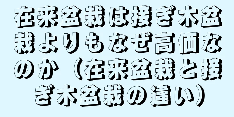 在来盆栽は接ぎ木盆栽よりもなぜ高価なのか（在来盆栽と接ぎ木盆栽の違い）