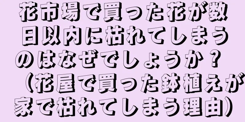 花市場で買った花が数日以内に枯れてしまうのはなぜでしょうか？ （花屋で買った鉢植えが家で枯れてしまう理由）