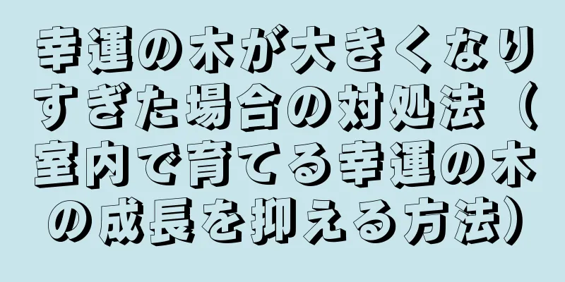 幸運の木が大きくなりすぎた場合の対処法（室内で育てる幸運の木の成長を抑える方法）