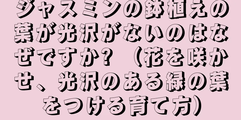 ジャスミンの鉢植えの葉が光沢がないのはなぜですか? （花を咲かせ、光沢のある緑の葉をつける育て方）