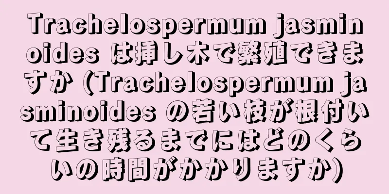 Trachelospermum jasminoides は挿し木で繁殖できますか (Trachelospermum jasminoides の若い枝が根付いて生き残るまでにはどのくらいの時間がかかりますか)