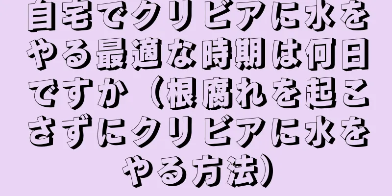 自宅でクリビアに水をやる最適な時期は何日ですか（根腐れを起こさずにクリビアに水をやる方法）