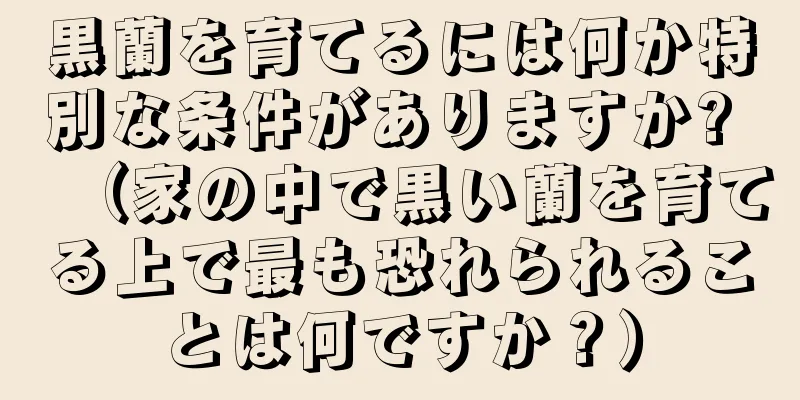 黒蘭を育てるには何か特別な条件がありますか? （家の中で黒い蘭を育てる上で最も恐れられることは何ですか？）