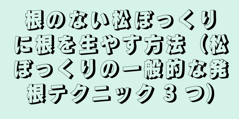 根のない松ぼっくりに根を生やす方法（松ぼっくりの一般的な発根テクニック 3 つ）