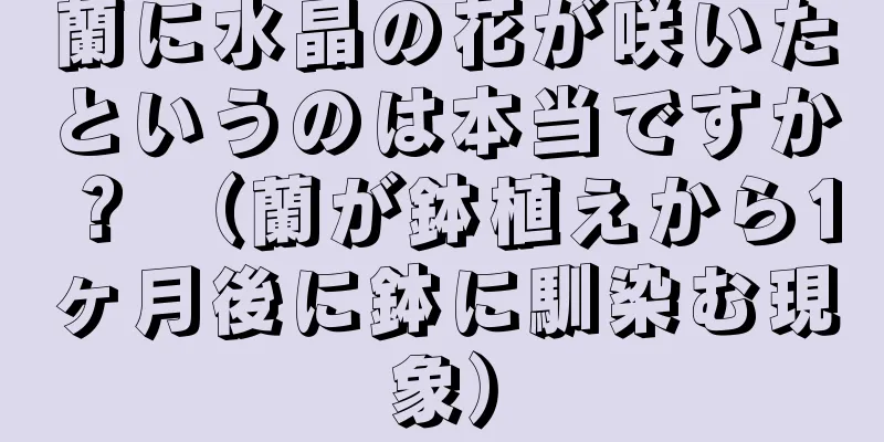 蘭に水晶の花が咲いたというのは本当ですか？ （蘭が鉢植えから1ヶ月後に鉢に馴染む現象）