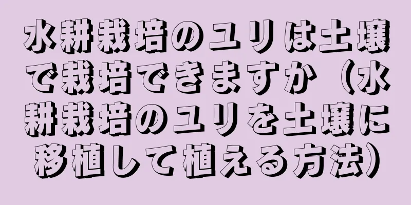 水耕栽培のユリは土壌で栽培できますか（水耕栽培のユリを土壌に移植して植える方法）