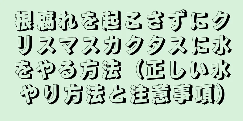 根腐れを起こさずにクリスマスカクタスに水をやる方法（正しい水やり方法と注意事項）