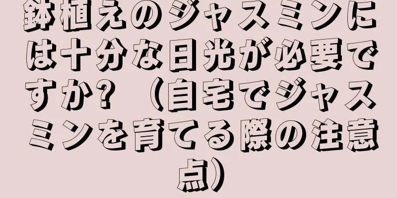 鉢植えのジャスミンには十分な日光が必要ですか? （自宅でジャスミンを育てる際の注意点）
