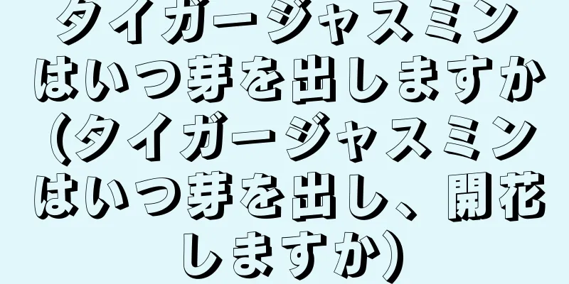 タイガージャスミンはいつ芽を出しますか (タイガージャスミンはいつ芽を出し、開花しますか)
