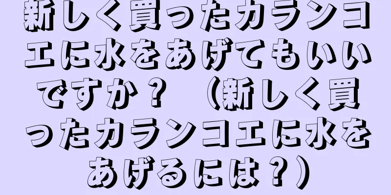 新しく買ったカランコエに水をあげてもいいですか？ （新しく買ったカランコエに水をあげるには？）