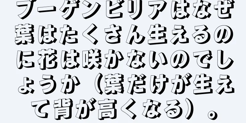 ブーゲンビリアはなぜ葉はたくさん生えるのに花は咲かないのでしょうか（葉だけが生えて背が高くなる）。