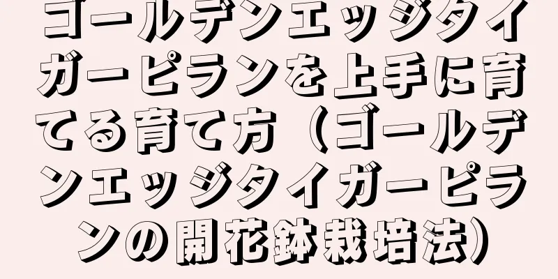 ゴールデンエッジタイガーピランを上手に育てる育て方（ゴールデンエッジタイガーピランの開花鉢栽培法）