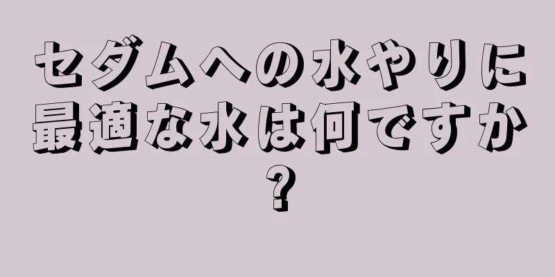 セダムへの水やりに最適な水は何ですか?