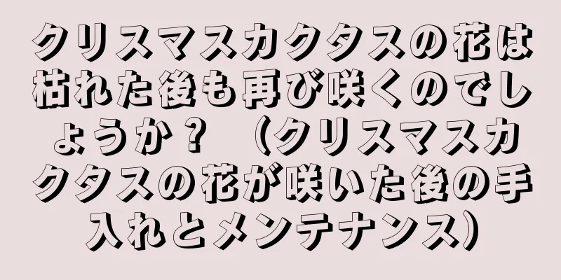 クリスマスカクタスの花は枯れた後も再び咲くのでしょうか？ （クリスマスカクタスの花が咲いた後の手入れとメンテナンス）