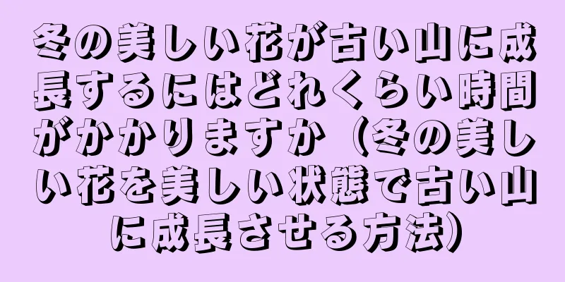 冬の美しい花が古い山に成長するにはどれくらい時間がかかりますか（冬の美しい花を美しい状態で古い山に成長させる方法）