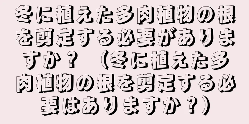 冬に植えた多肉植物の根を剪定する必要がありますか？ （冬に植えた多肉植物の根を剪定する必要はありますか？）